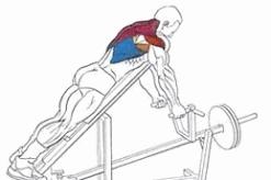 Тяга Т-штанги в наклоне – проработка мышц спины